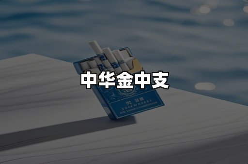 中华金中支